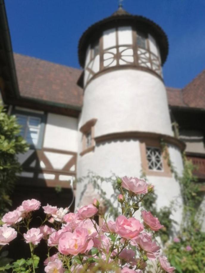 Maison Kobold Xvie Siecle วิสซ็องบูร์ ภายนอก รูปภาพ