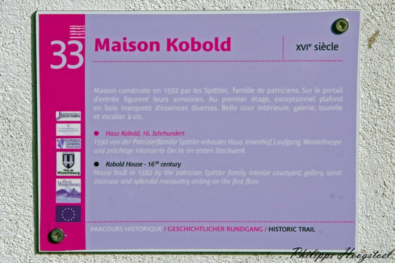 Maison Kobold Xvie Siecle วิสซ็องบูร์ ภายนอก รูปภาพ