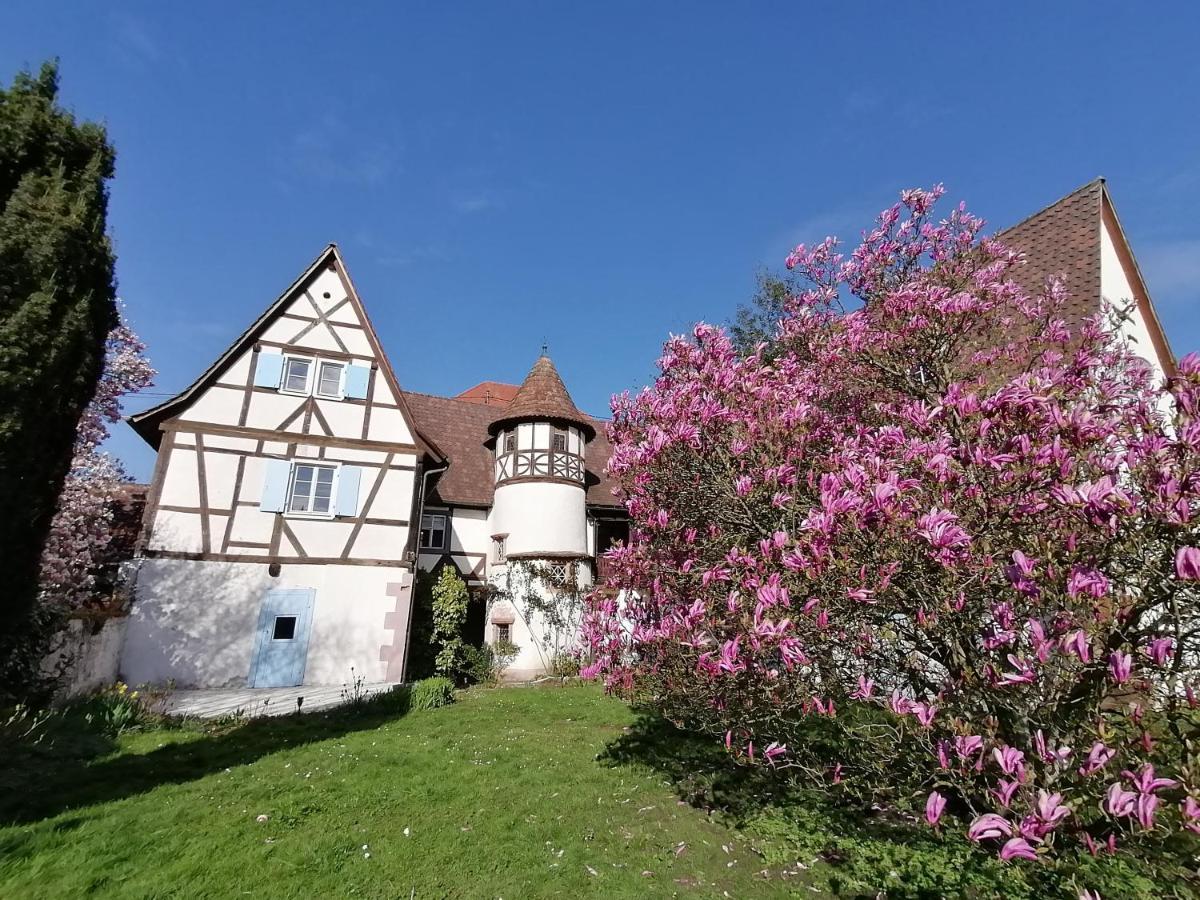 Maison Kobold Xvie Siecle วิสซ็องบูร์ ภายนอก รูปภาพ